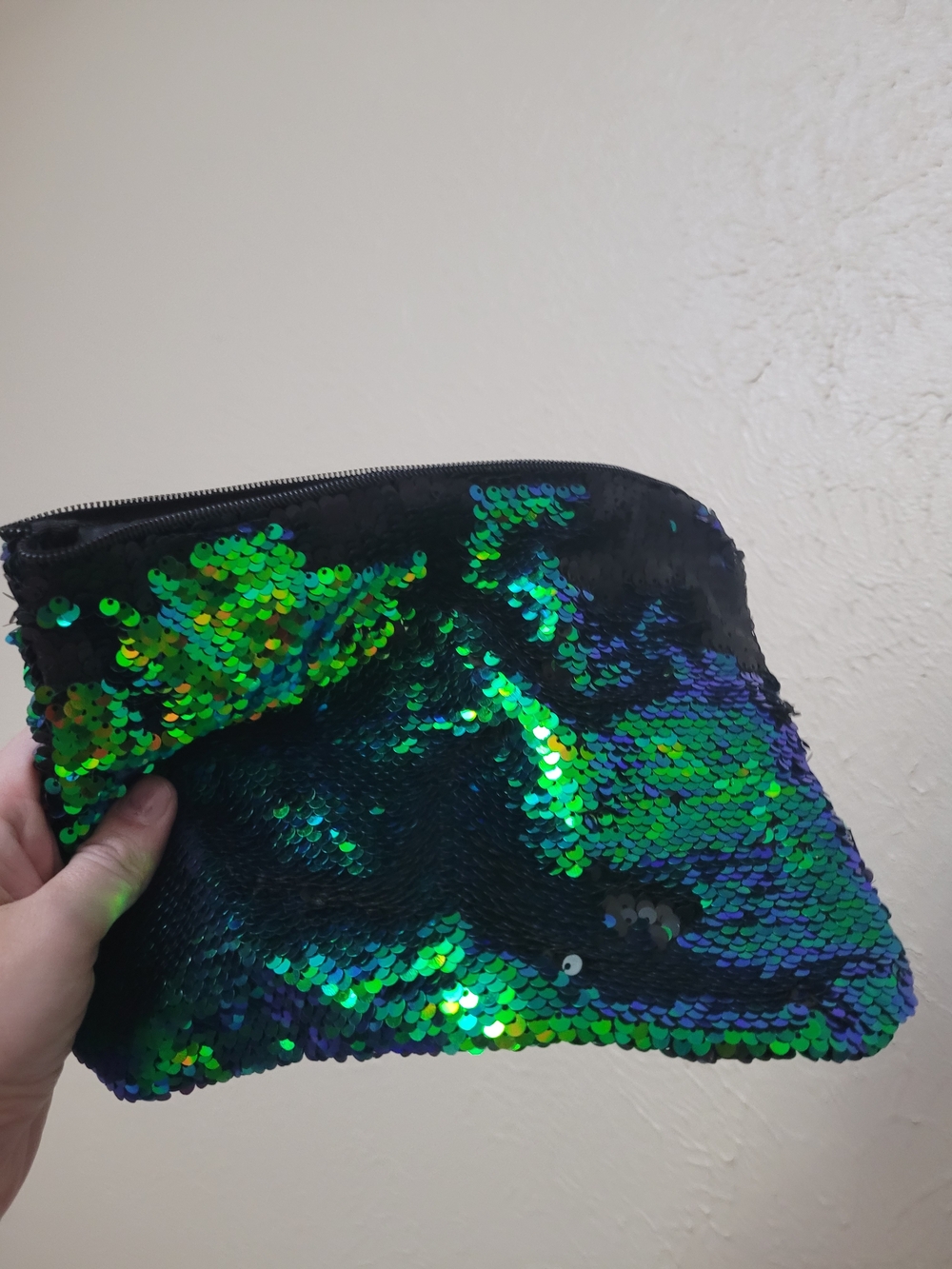 Green-Blue Iridescent Sequin Zip Pouch